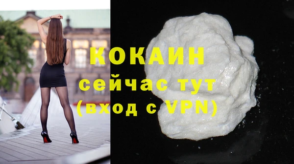 индика Белокуриха