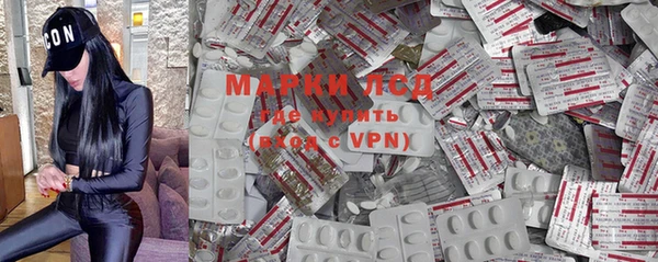 индика Белокуриха