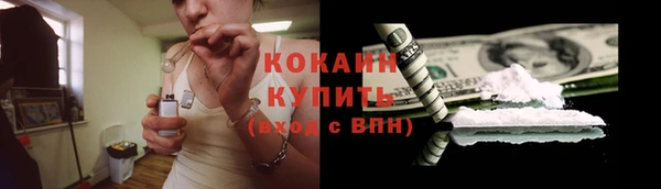 индика Белокуриха