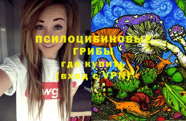 соль курить ск Богородицк