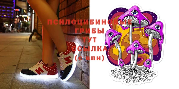 индика Белокуриха