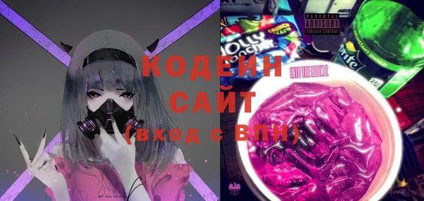 индика Белокуриха