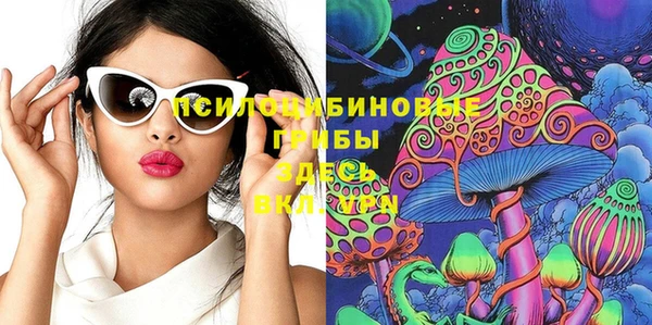 соль курить ск Богородицк