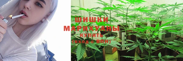 амф Богородск